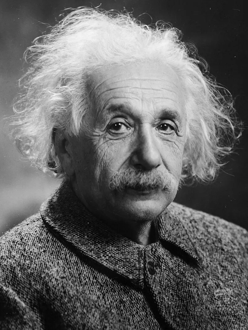 Albert Einstein / অ্যালবার্ট আইনস্টাইন (6978241654654)