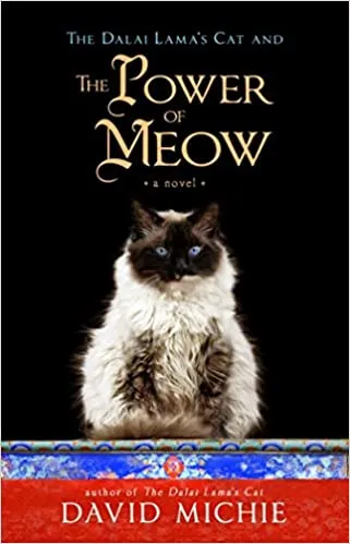The Power of Meow - A Novel