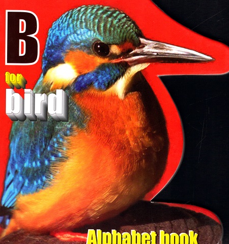 Alphabet Book