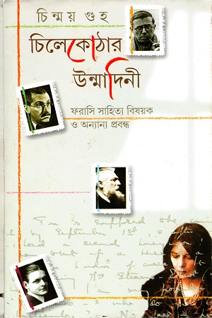 চিলেকোঠার  উন্মাদিনী