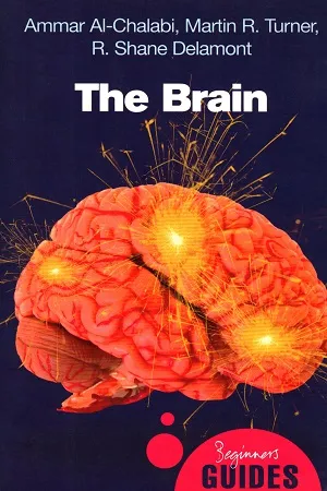 The Brain: A Beginner's Guide