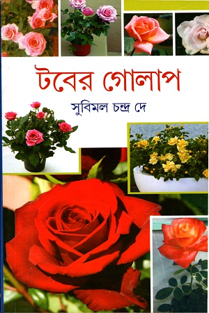 টবের গোলাপ