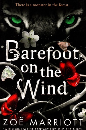 Barefoot on the Wind