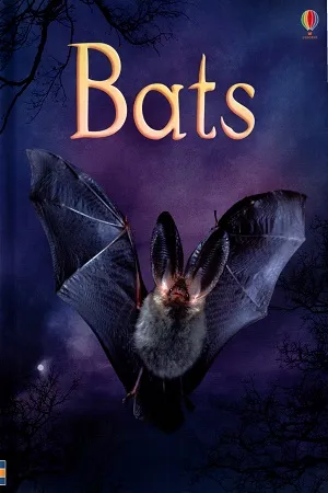 Bats (Usborne Beginners)