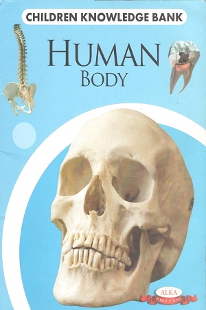 Human Body