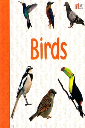 Baby Board Book: Birds