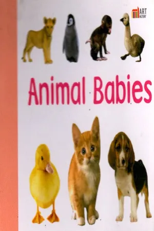 Baby Board Book: Animal Baby
