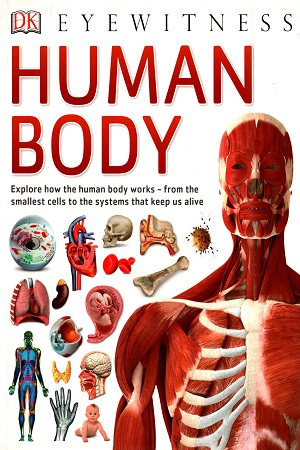 Human Body: Explore How The Human Body Works - from The Smallest Cells to The System that Keep us Alive
