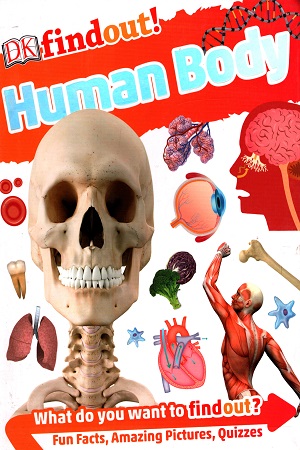 DKfindout! Human Body