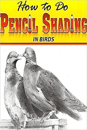 Pencil Shading In Birds