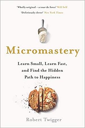 Micromastery: Learn Small, Learn Fast and Find the Hidden Path to Happiness