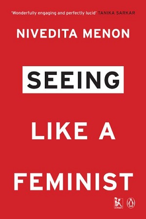 Seeing Like a Feminist