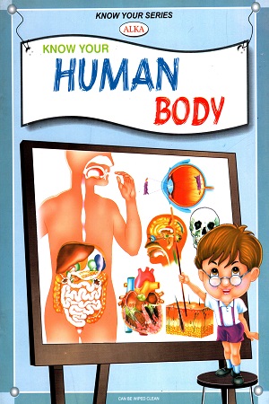 Know Your Human Body