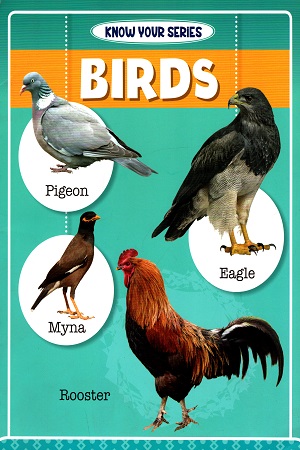 Know your Series: Birds