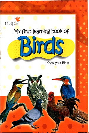 My First Learning book of Birds