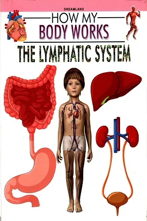 How My Body Works: The Lymphatic System