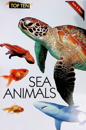 Sea Animals