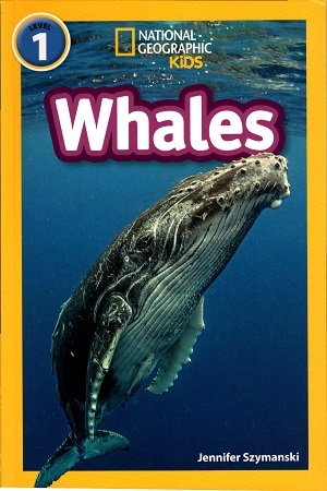 Whales