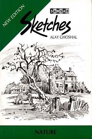 Sketches (nature)