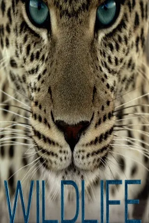 Wildlife The Definitive Visual Guide To Animals Life on Every Continent