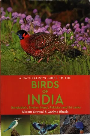 Birds Of India