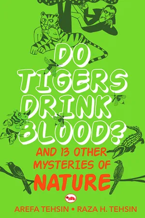Do Tigers Drink Blood