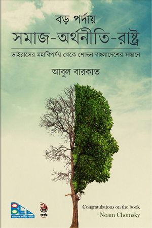 বড় পর্দায় সমাজ-অর্থনীতি-রাষ্ট্র