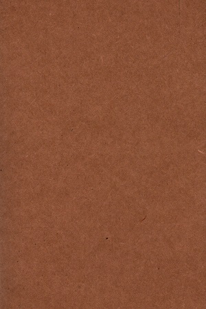 Jap Cart (Liner Pocket Notebook-55 )