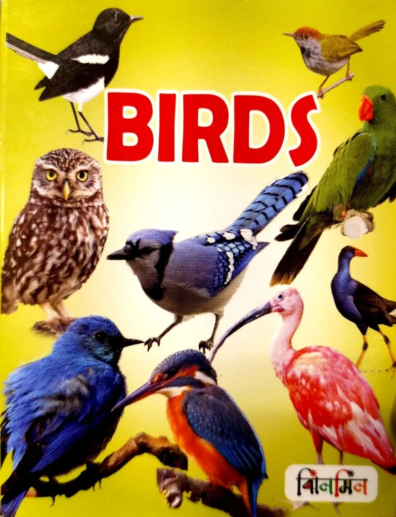 Birds (9)
