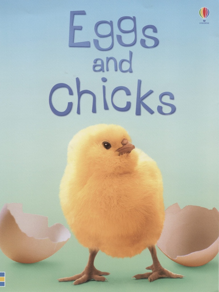 Eggs and Chicks