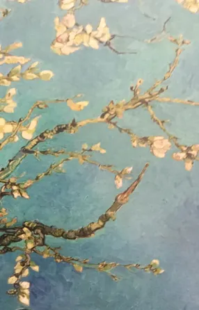 নোটবুক - Almond Blossoms
