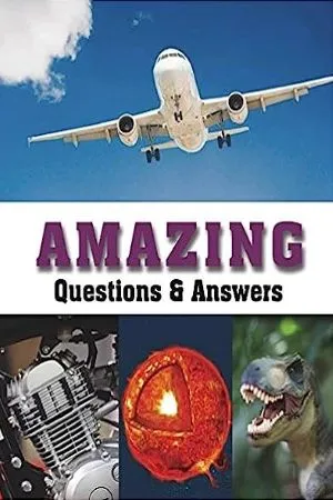 Amazing Questions &amp; Answers