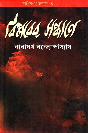 বিপ্লবের সন্ধানে