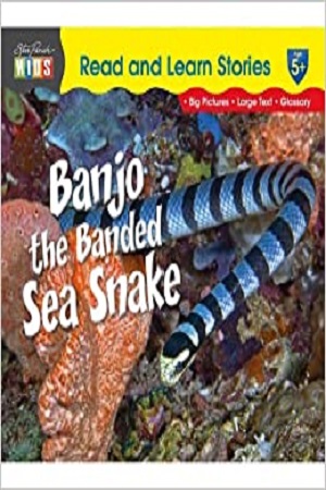 Read & Learn Stories Banjo the Banded Sea Snake