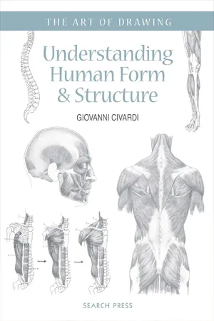 Understanding Human Form &amp; Structure (The Art of Drawing)