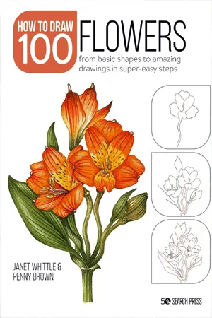 Draw 100: Flowers: From basic shapes to amazing drawings in super-easy steps