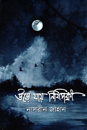 উড়ে যায় নিশিপক্ষী