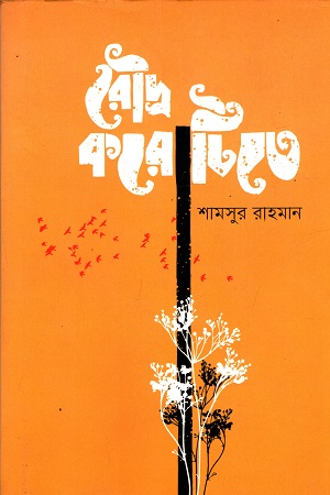 রৌদ্র করোটিতে