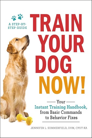 Train Your Dog Now!