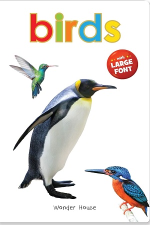 Birds - Early Learning Board Book With Large Font Big Board Books Series