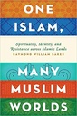 One Islam, Many Muslim Worlds: Spirituality, Identity, and Resistance across Islamic lands (Religion and Global Politics)