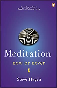 [9780718193041] Meditation Now or Never