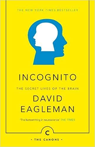 [9781782112464] Incognito: The Secret Lives of The Brain