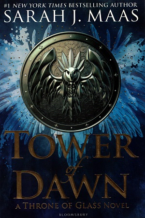 [9781408896709] Tower of Dawn