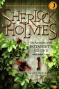 Sherlock Holmes: The Adventure of the Botanist's Glove and other Cases