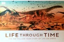 Life Through Time: The 700-Million-Year Story of Life on Earth