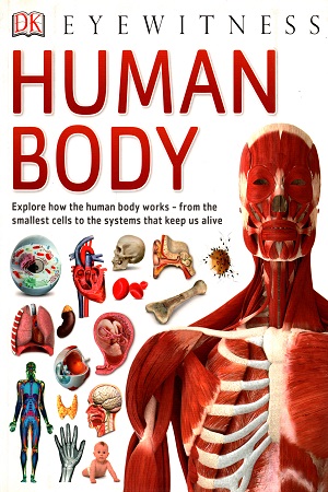 [9780241013618] Human Body: Explore How The Human Body Works - from The Smallest Cells to The System that Keep us Alive