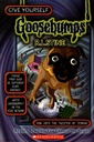 Into the Twisters of Terror (Give Yourself Goosebumps - 38)