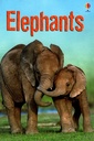 Elephants (Beginners)