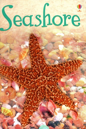 [9780746088647] Seashore (Usborne Beginners)